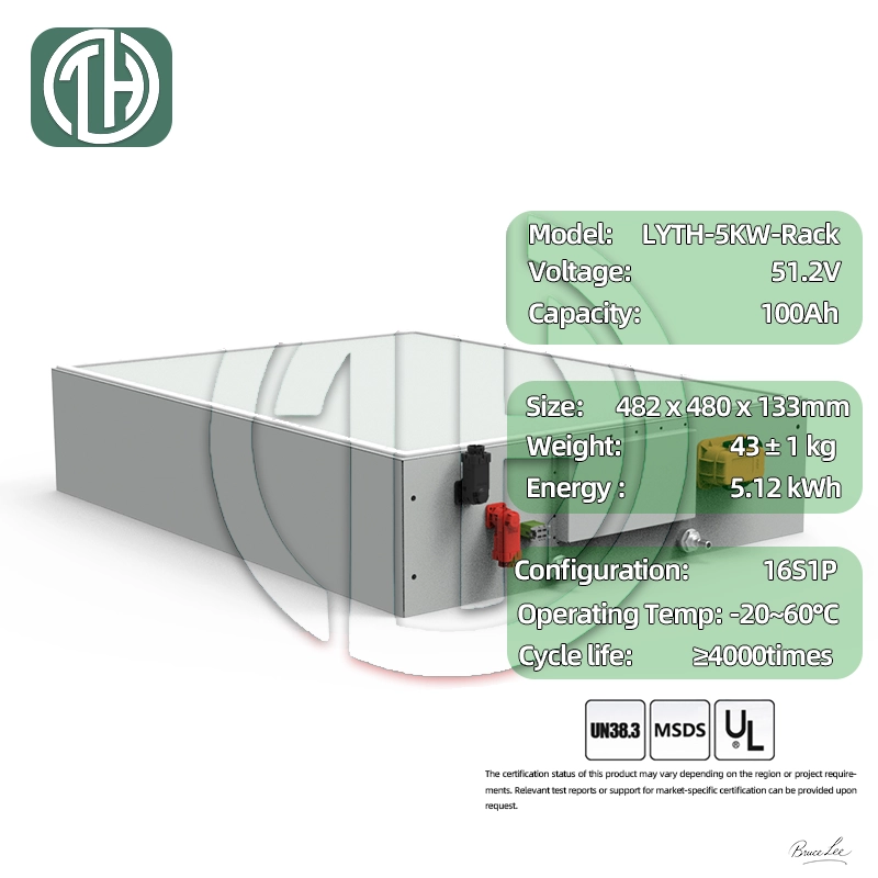 LiFePO4 Battery Module Structure Reference