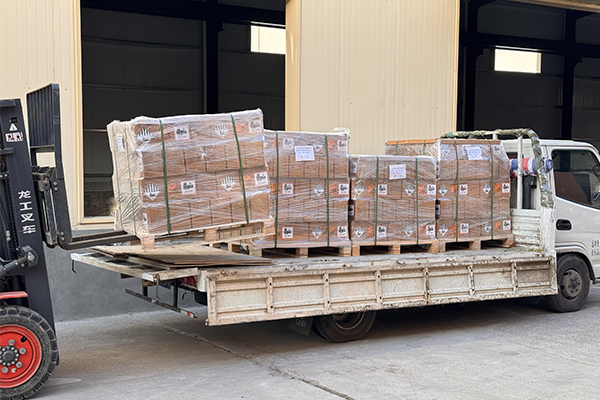 300 Sets of 1P8S 100Ah LFP Battery Modules Air-Shipped to Austria for Critical Backup Power