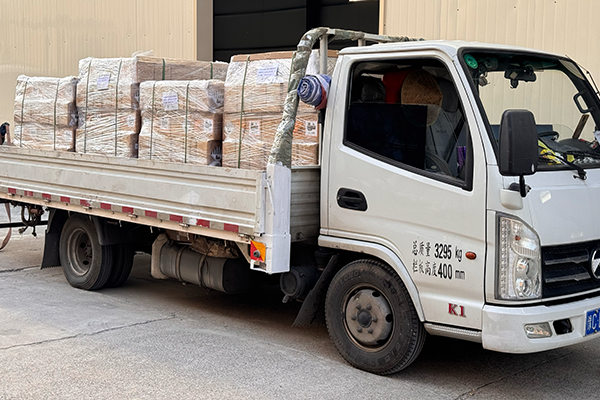 300 Sets of 1P8S 100Ah LFP Battery Modules Air-Shipped to Austria for Critical Backup Power