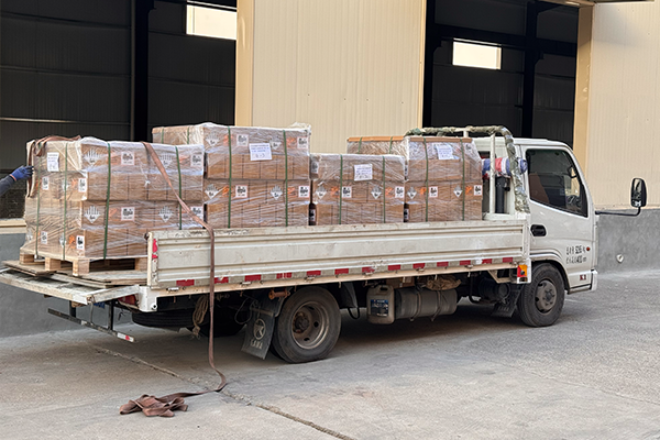 300 Sets of 1P8S 100Ah LFP Battery Modules Air-Shipped to Austria for Critical Backup Power