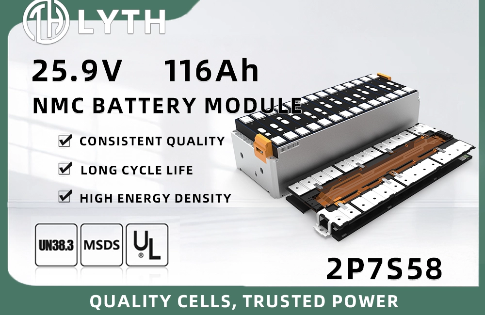 D148N58F-2P7S NMC Battery Module – 58Ah (2P7S) | LYTH