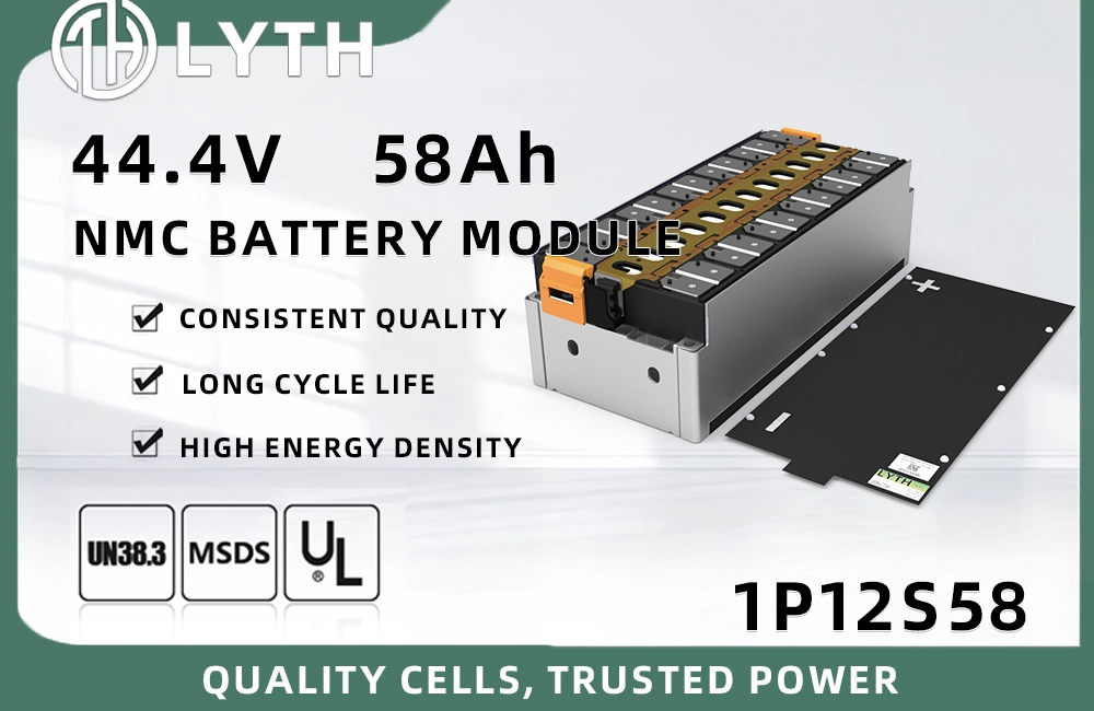 D148N58-1P12S 58Ah Battery Module | LYTH